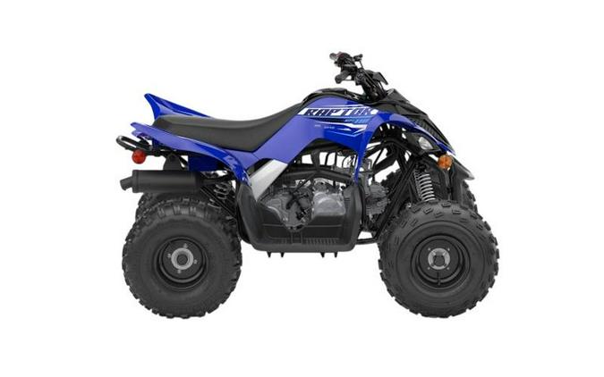 2026 Yamaha Raptor 110