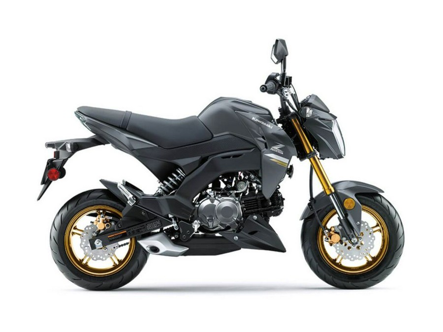 2024 Kawasaki Z125 PRO Base