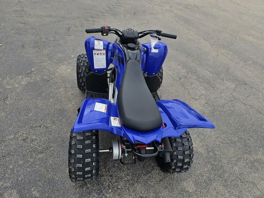 2025 Yamaha Raptor 110