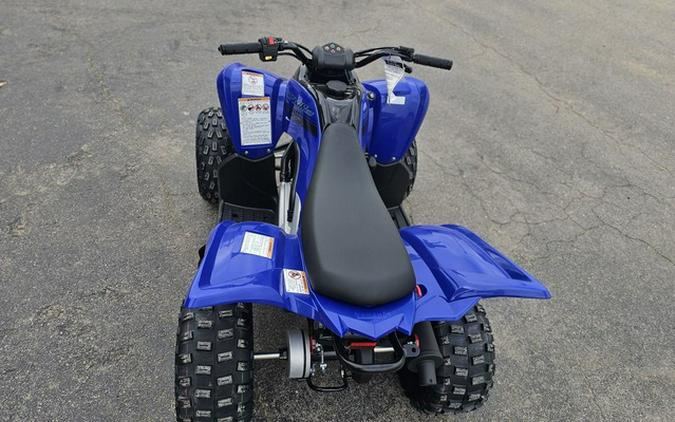 2025 Yamaha Raptor 110