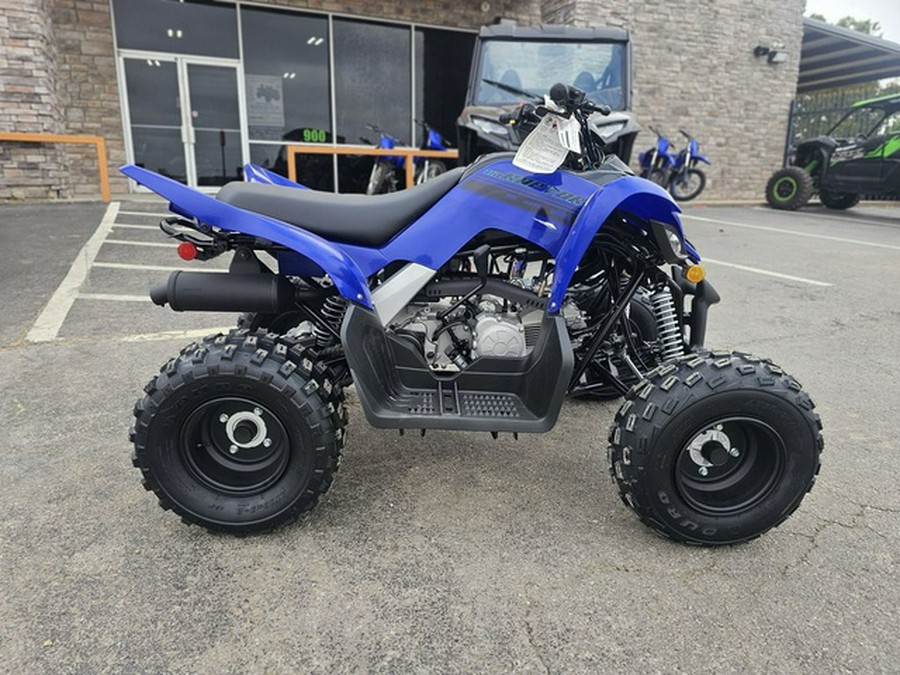 2025 Yamaha Raptor 110