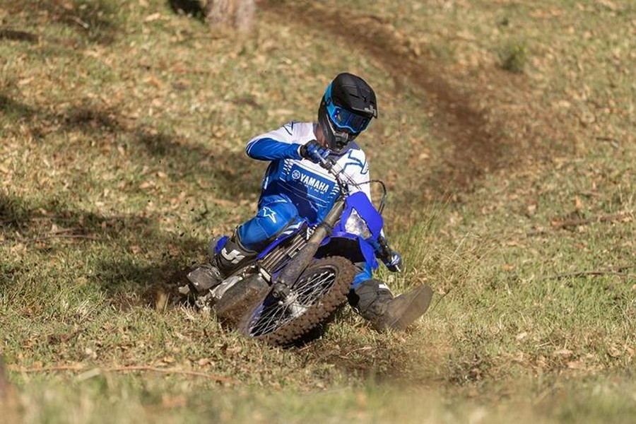 2025 WR450F - Yamaha