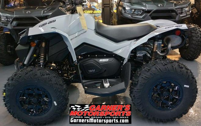 2024 Can-Am® Renegade 650