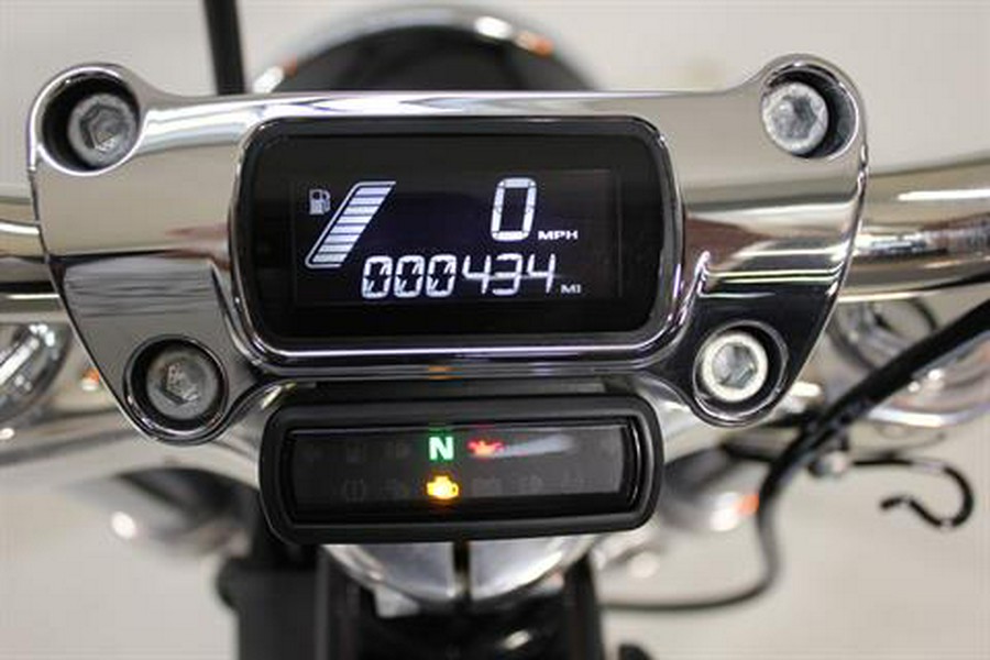 2024 Harley-Davidson Softail® Standard