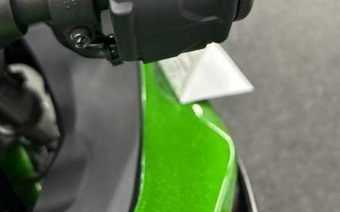 2025 Kawasaki Ninja® 1100SX SE ABS