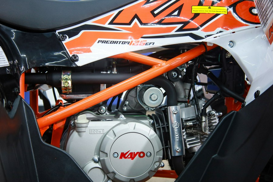 2025 Kayo Predator 125 EFI