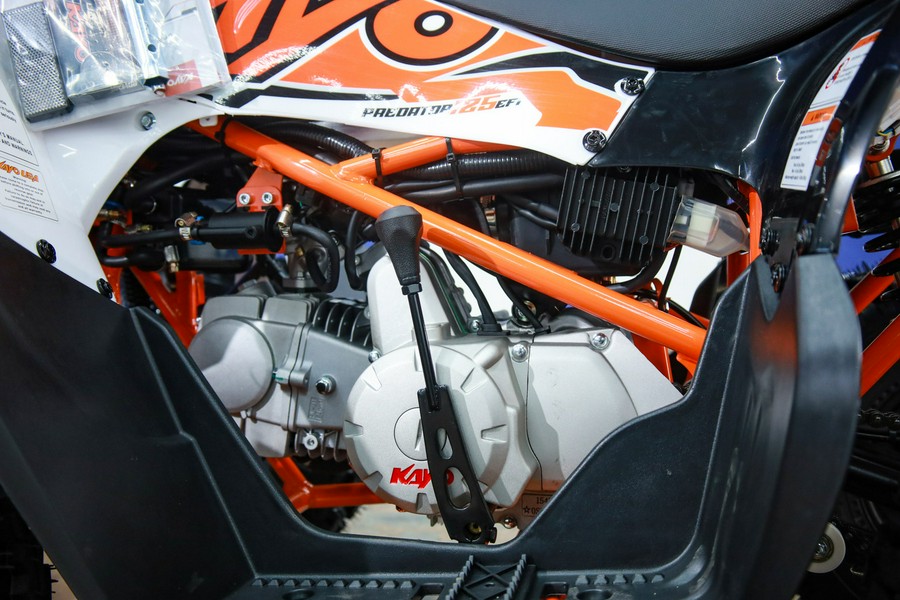 2025 Kayo Predator 125 EFI