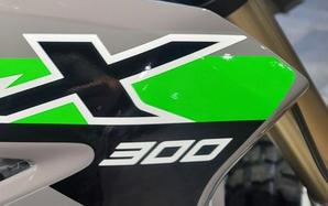 2024 Kawasaki KLX®300