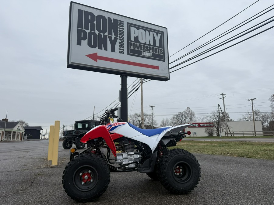 2026 Honda TRX® 250X