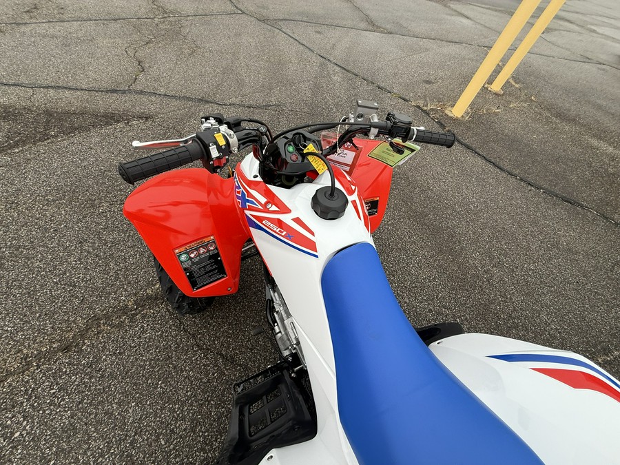 2026 Honda TRX® 250X