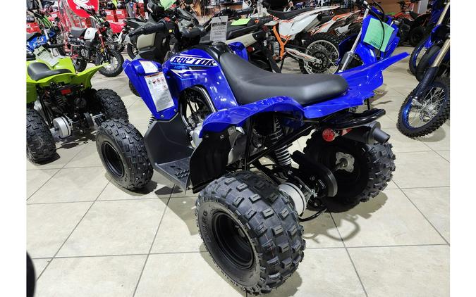 2026 Yamaha Raptor 110