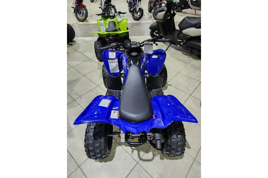 2026 Yamaha Raptor 110