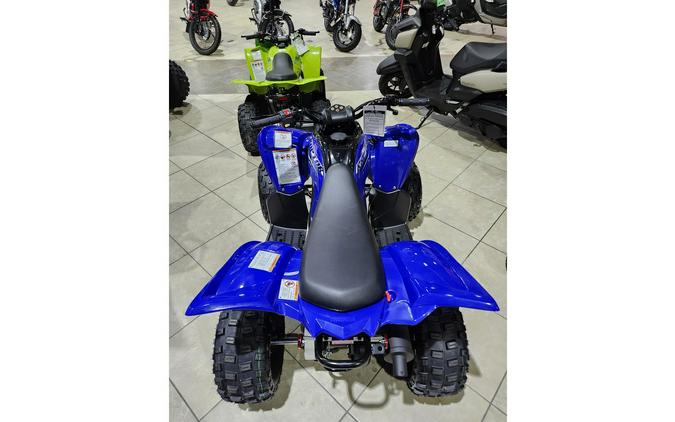 2026 Yamaha Raptor 110