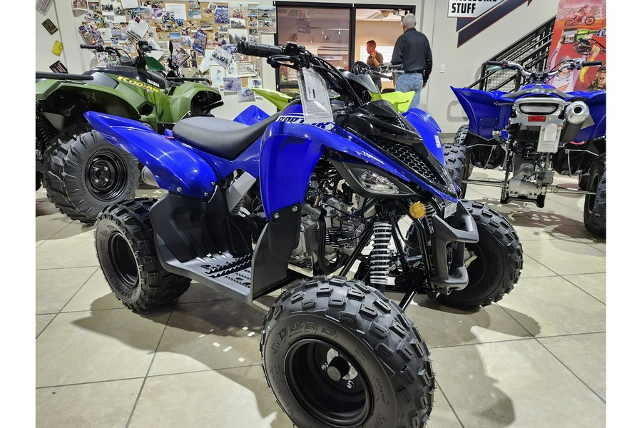 2026 Yamaha Raptor 110