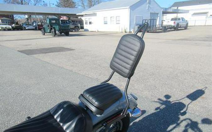 2024 Harley-Davidson Softail® Standard