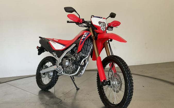 2025 HONDA CRF300L ABS - 74505H