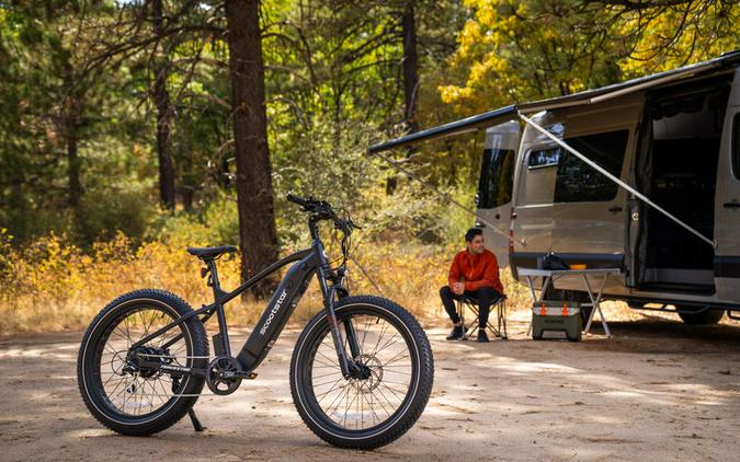 2024 Scootstar Trailstar