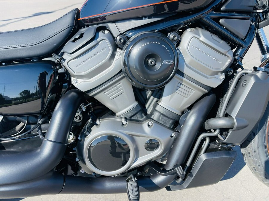 2024 Harley-Davidson Nightster™ w/ El Roy Pinstripes RH975