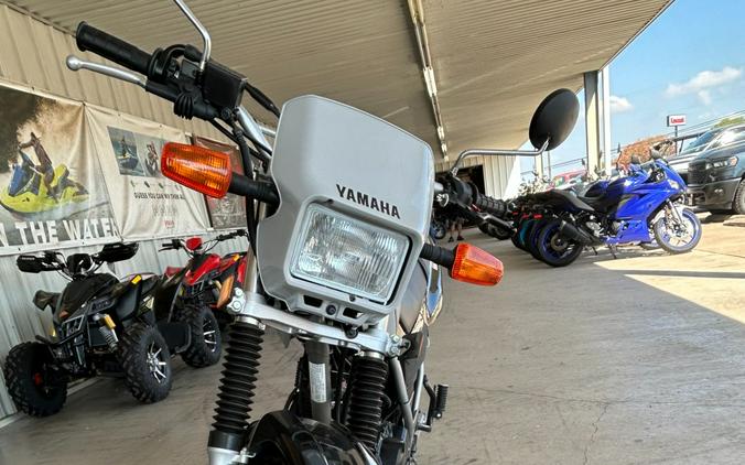 2025 Yamaha TW200