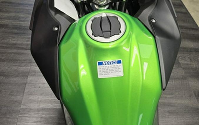 2025 Kawasaki Versys-X 300 ABS
