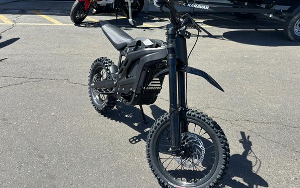 2025 ERIDE PRO MINI