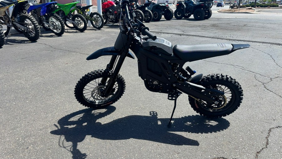 2025 ERIDE PRO MINI