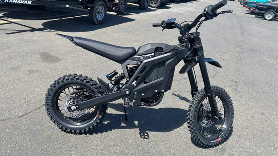 2025 ERIDE PRO MINI