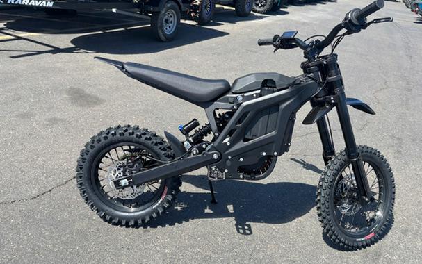 2025 ERIDE PRO MINI