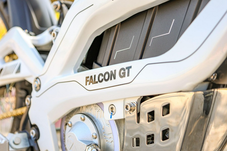 2025 79 BIKE FALCON GT