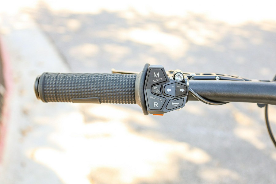 2025 79 BIKE FALCON GT