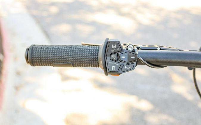 2025 79 BIKE FALCON GT