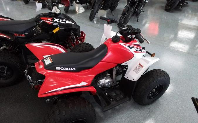 2023 Honda® TRX90X