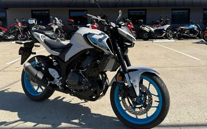 2025 Yamaha MT 03