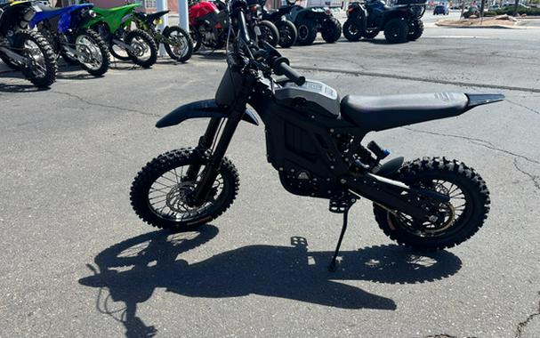 2025 ERIDE PRO MINI