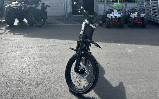 2025 ERIDE PRO E RIDE RPO