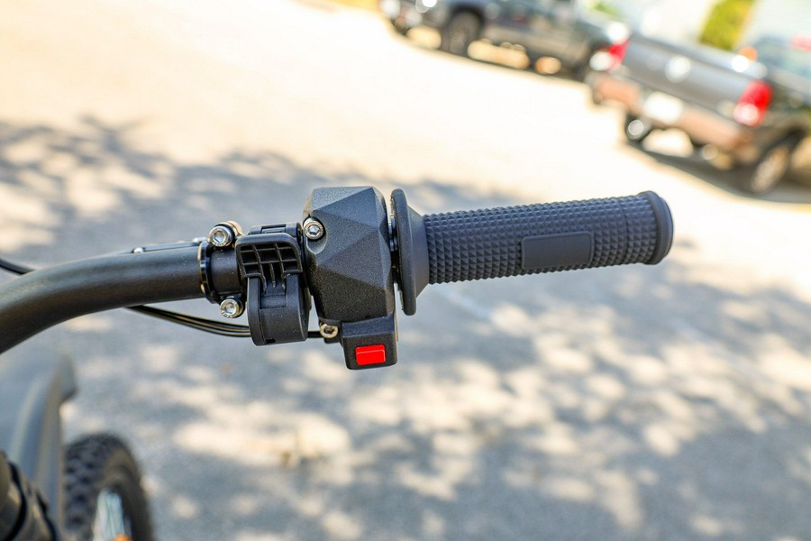 2025 79 BIKE FALCON GT
