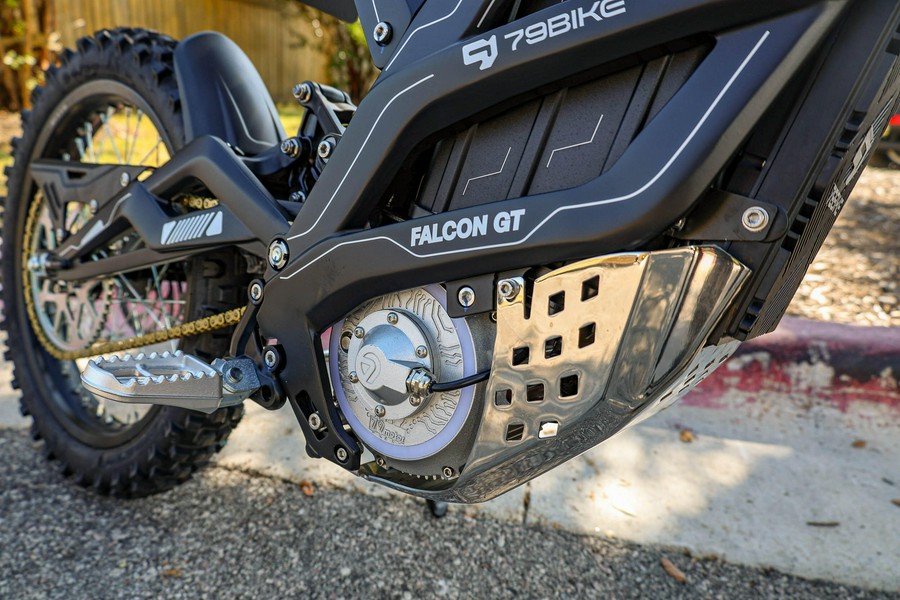 2025 79 BIKE FALCON GT