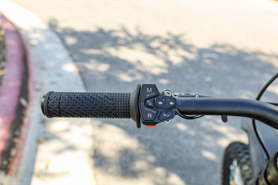 2025 79 BIKE FALCON GT