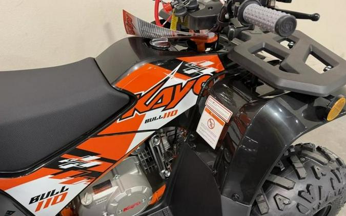 2026 Kayo AU110 110