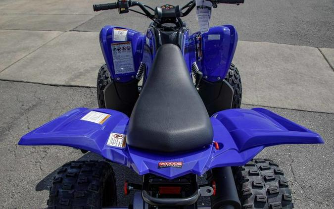 2025 Yamaha Raptor 110