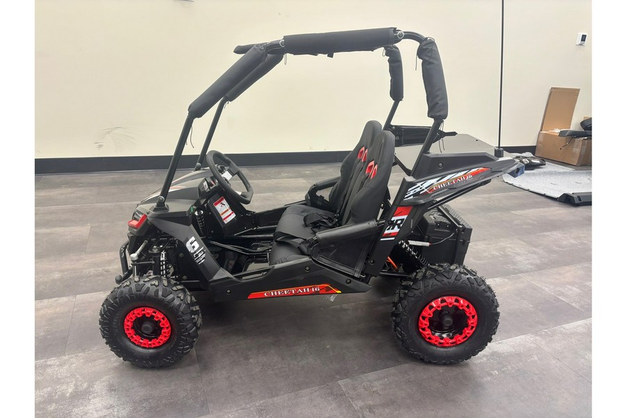 2025 TrailMaster CHEETAH I6