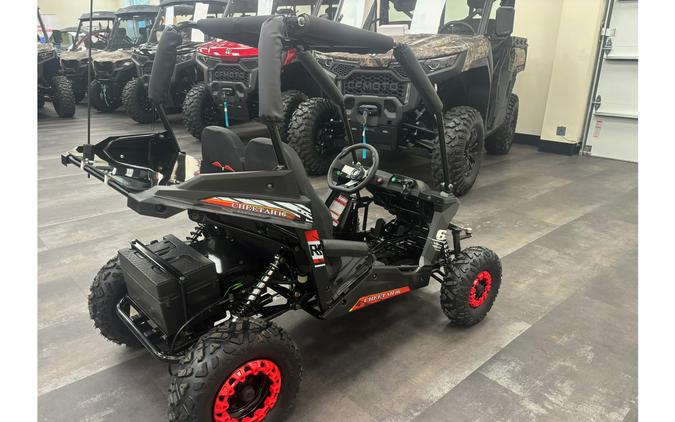 2025 TrailMaster CHEETAH I6