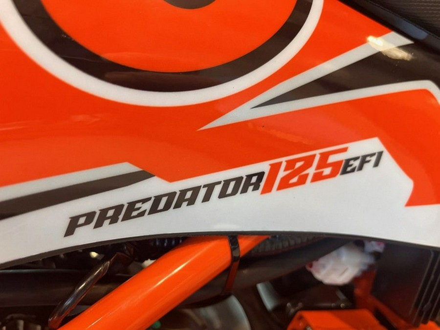 2025 Kayo Predator 125 EFI