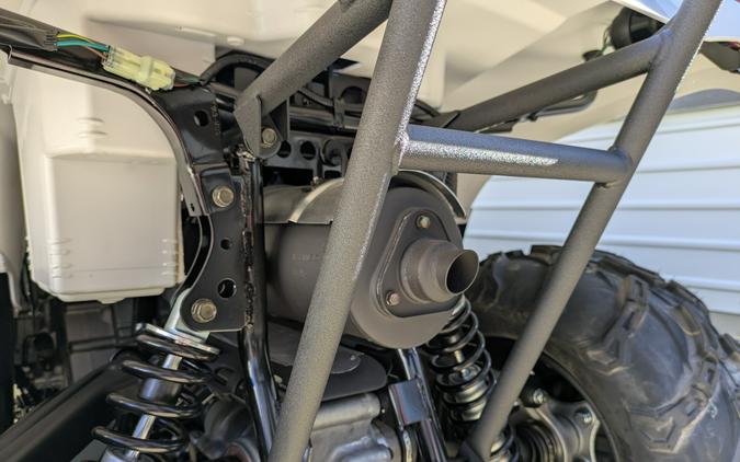 2025 Kawasaki Brute Force 450 4x4