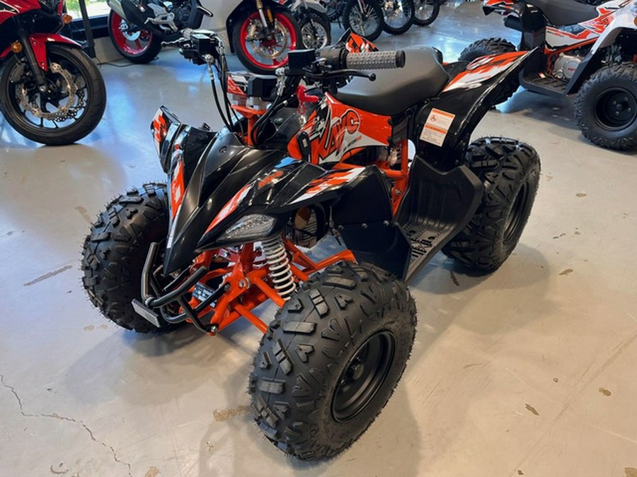 2026 Kayo 110 Predator