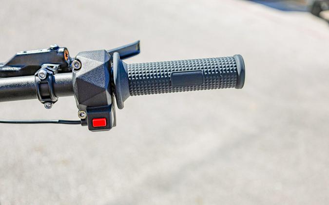 2025 79 BIKE FALCON PRO
