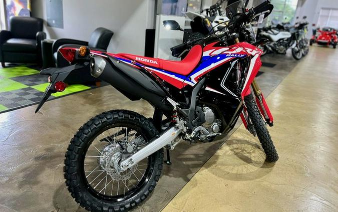 2024 Honda CRF300L Rally