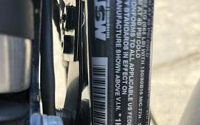 2019 Harley-Davidson Iron 883™