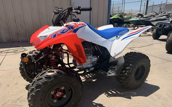 2026 Honda TRX 250X