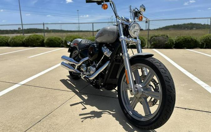 2024 Harley-Davidson® FXST - Softail® Standard